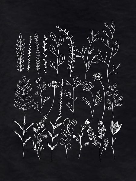 Airy Botanical Sprigs Silhouette
