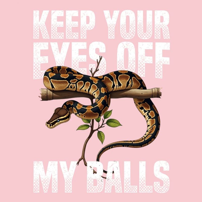 Königspython Schlangen Liebhaber Terrarium Python