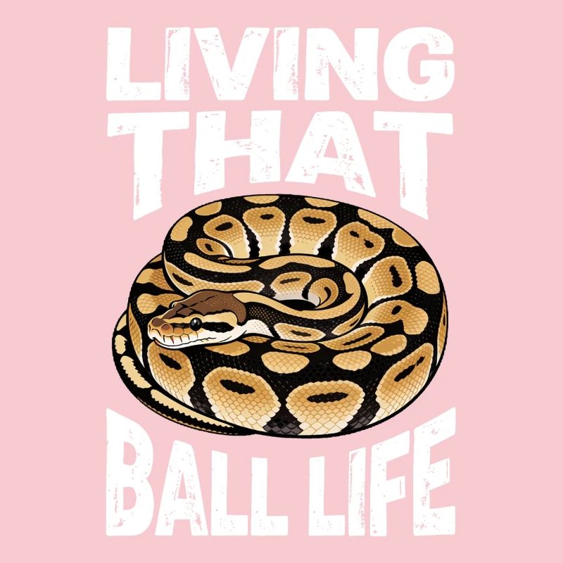 Python roi Serpents Amateurs de terrarium Python