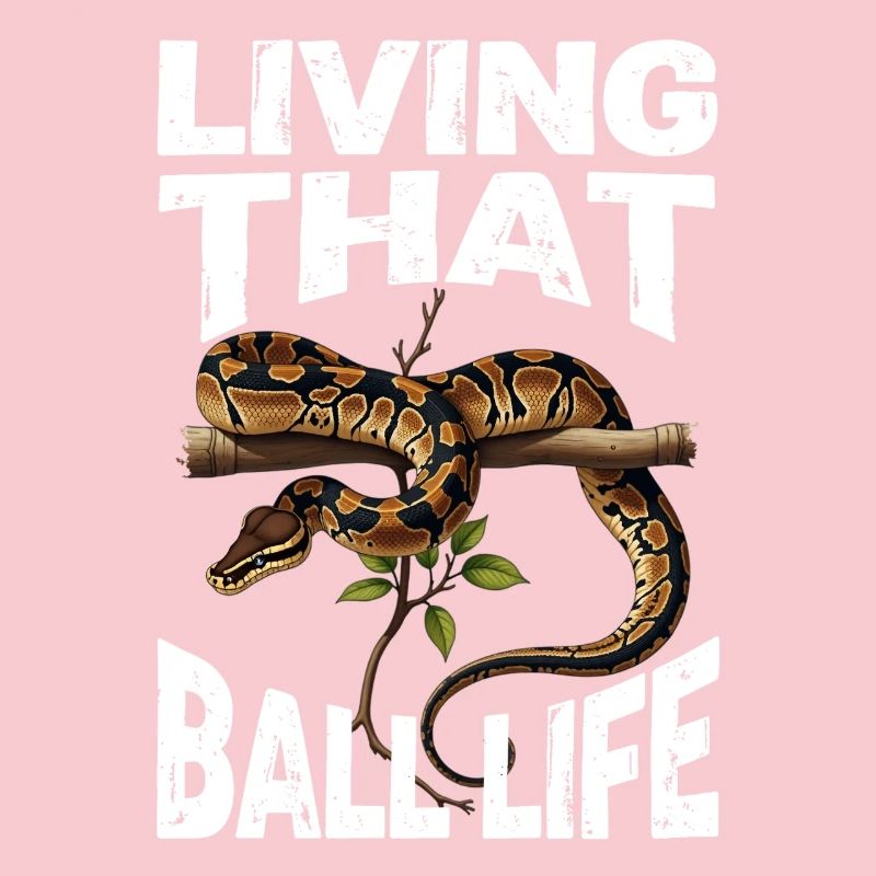 Königspython Schlangen Liebhaber Terrarium Python