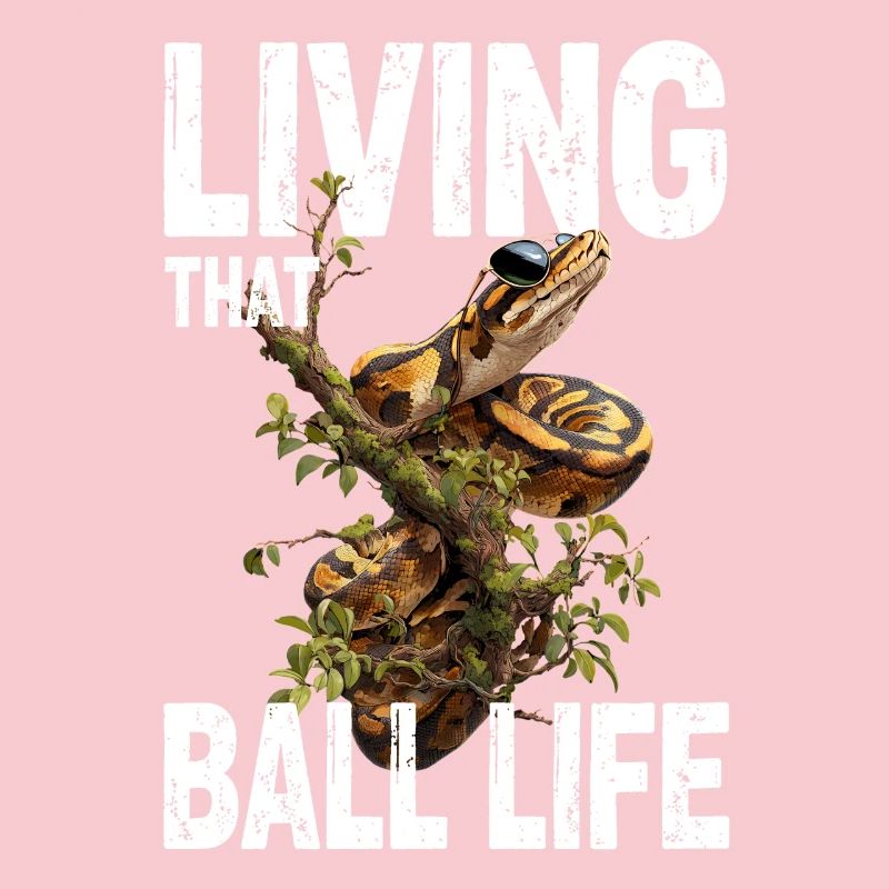 Königspython Schlangen Liebhaber Terrarium Python