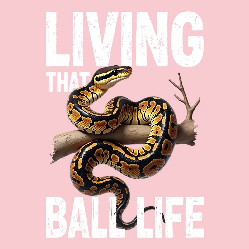 Python roi Serpents Amateurs de terrarium Python