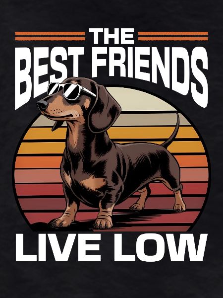 Funny Dog Breed Dachshund