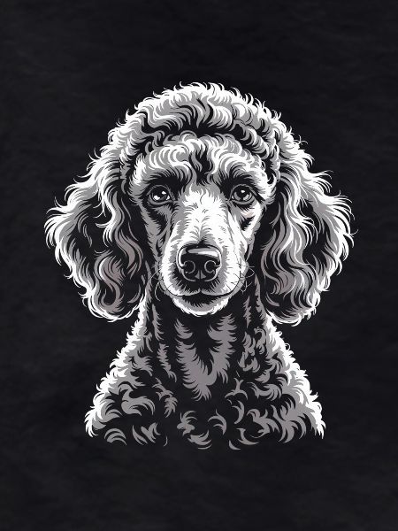 Poodle
