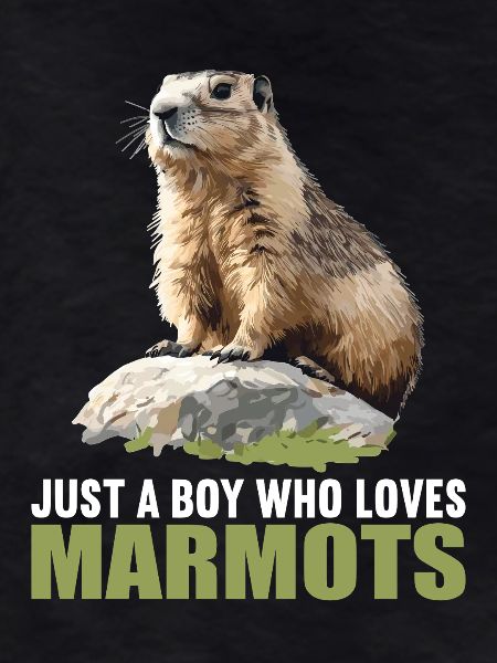 Murmeltiere Murmeltier