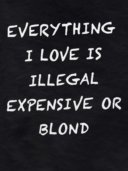 Everything I Love Is Illegal
