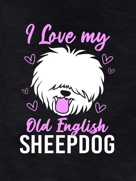 English Shepherd Dog
