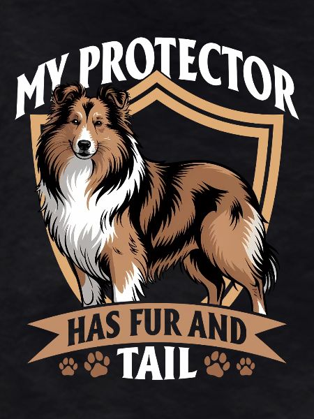 Shetland Sheepdog Sheltie Dog Breed