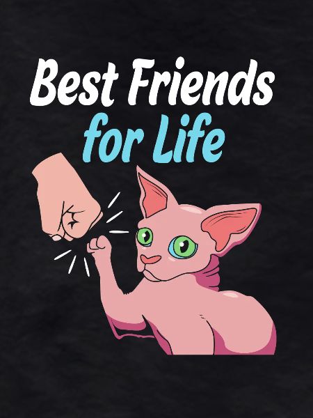 Sphynx Cats