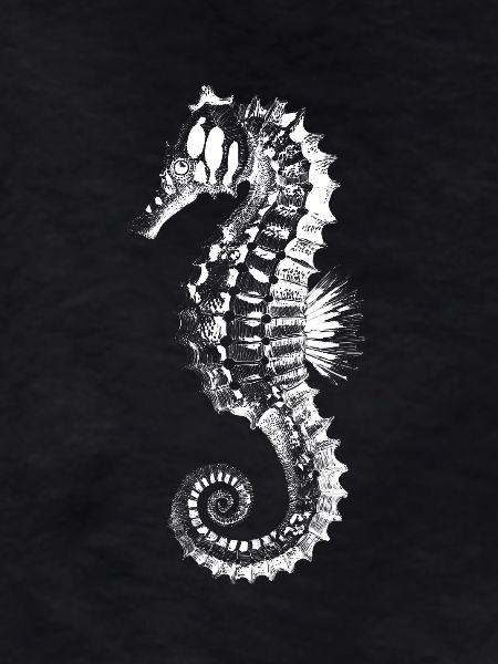Seahorse Silhouette Brick