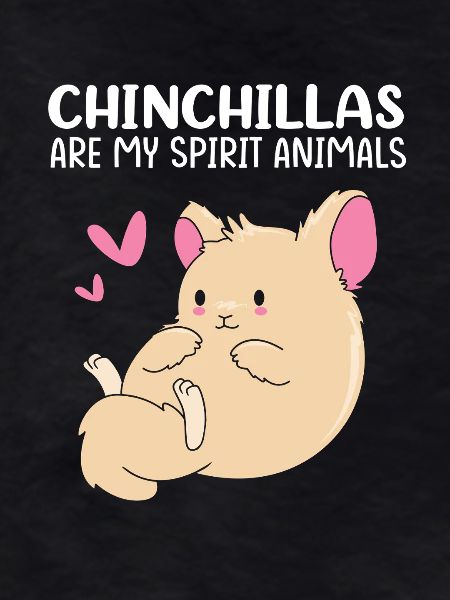 Chinchilla