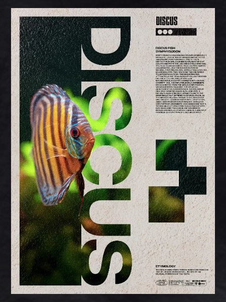 Diskusfischhalter-Porträtplakat