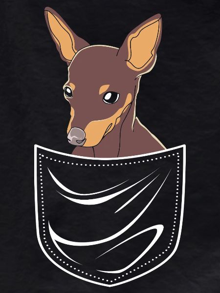 Miniature Pinscher
