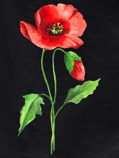 Fleur