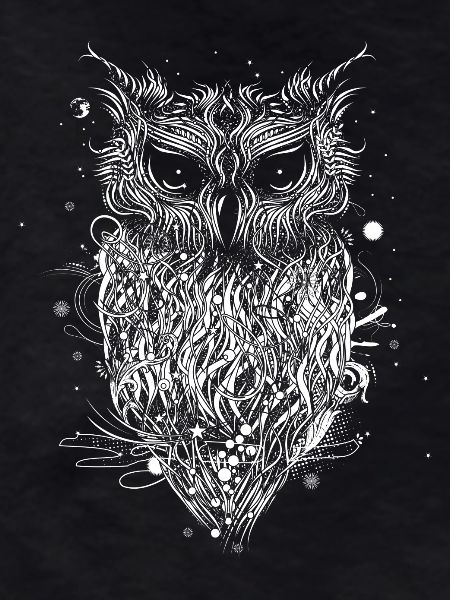 Mysterious owl