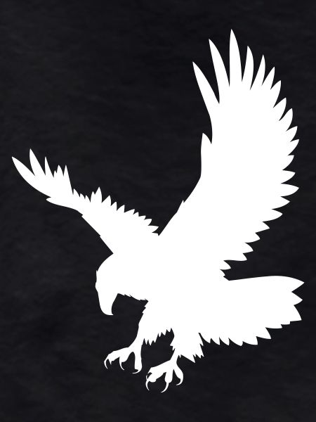 An eagle chasing its prey