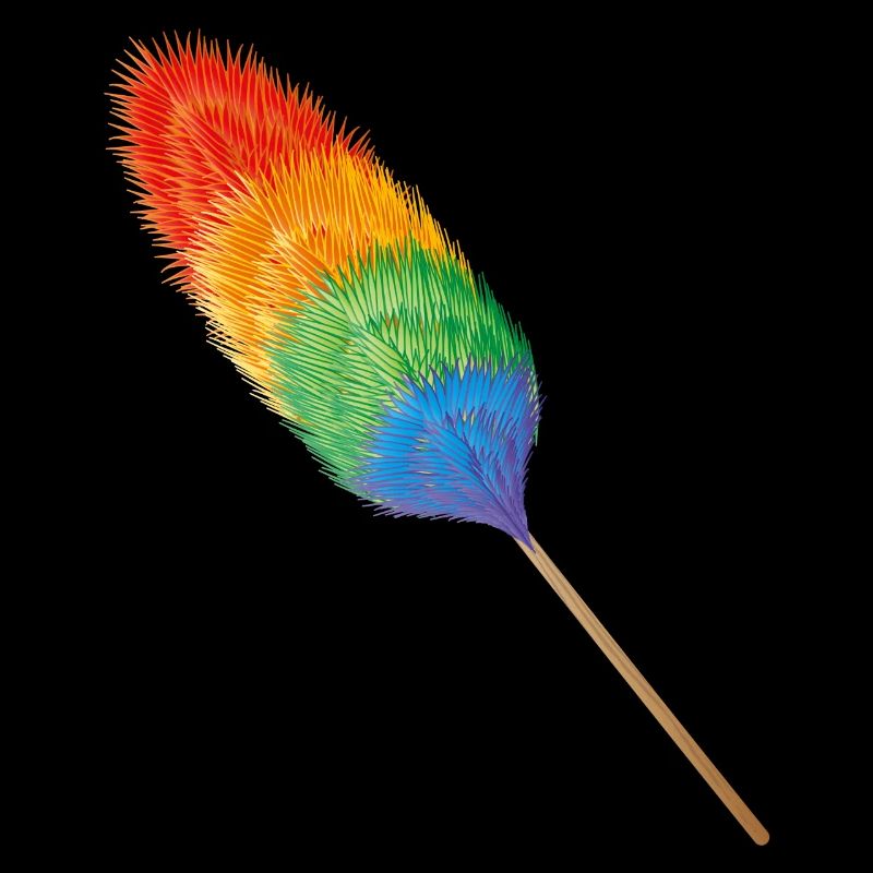 Feather duster in brightly colored rainbow colors