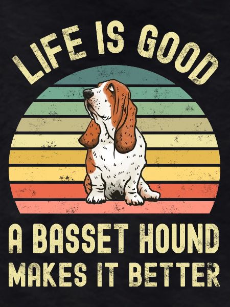 Dog Basset Hound