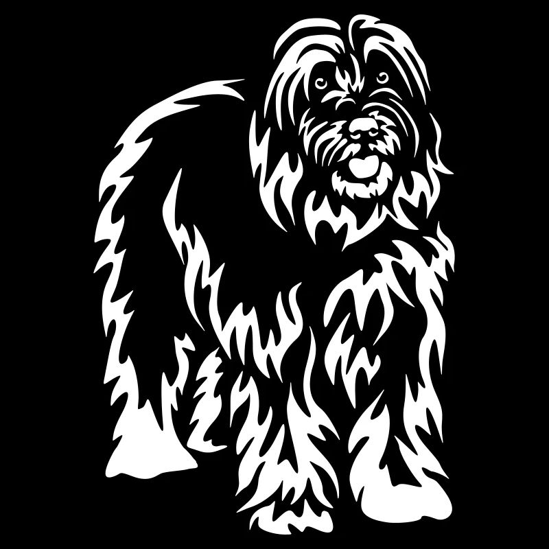 Gos d'Atura Catala "Black Edition"