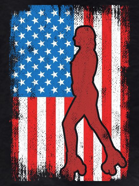 July 4 Roller Skating USA