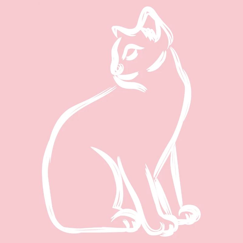Cat Drawing