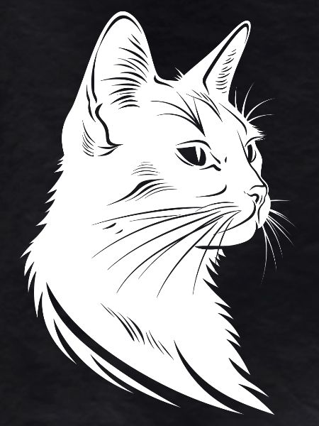 Cat Sketch