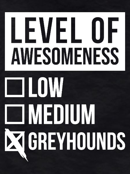 Greyhound Greyhound Greyhound