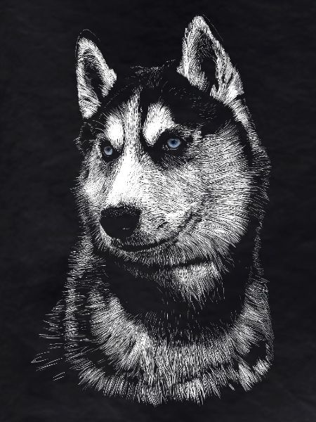 Husky