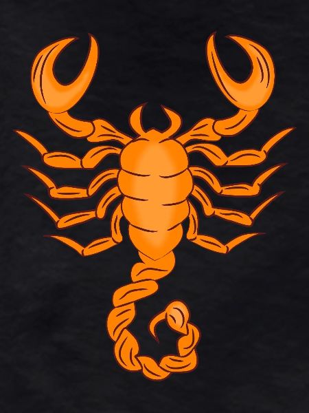 Sternzeichen Skorpion