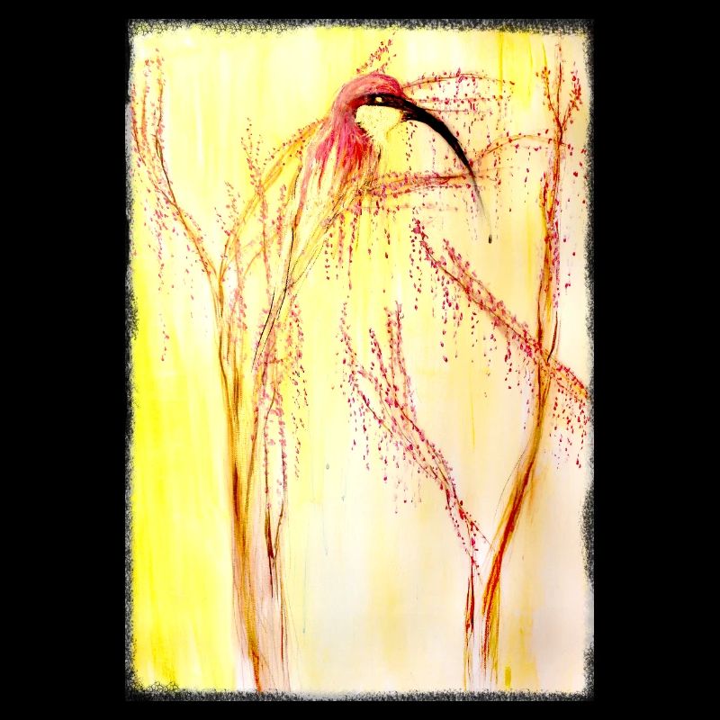  bee-eater