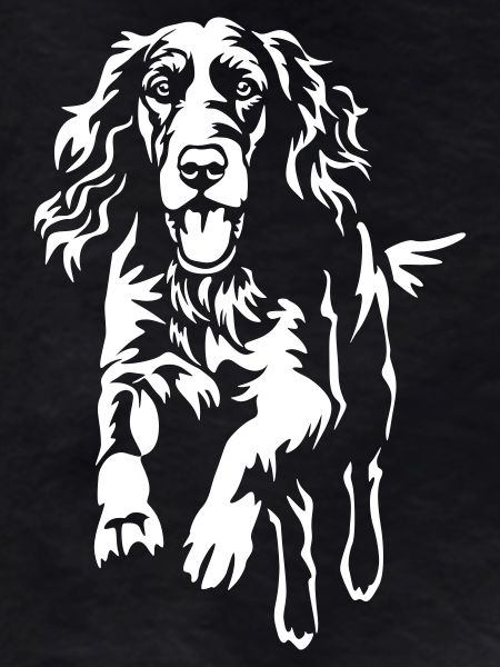 Irish Setter "Black Edition"