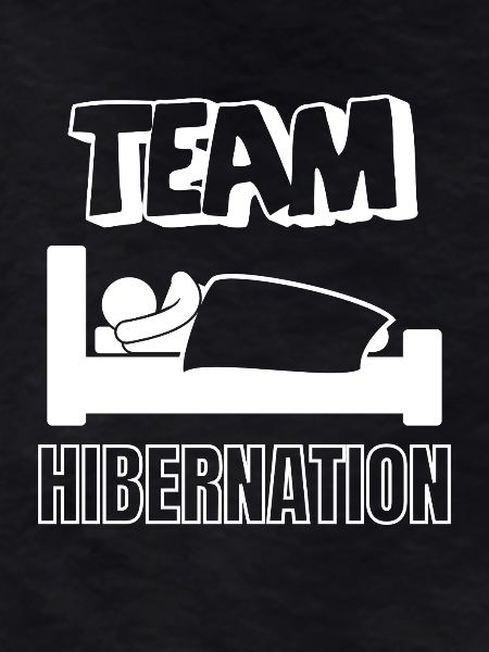 Team Hibernation in Bed