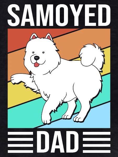 Samoyed