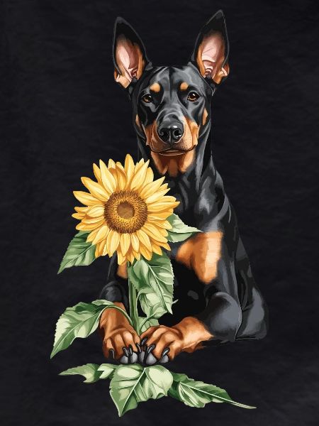Dobermann