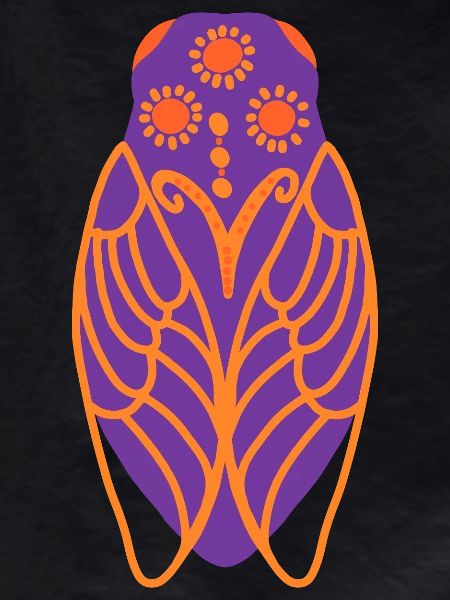 Sunny cicada
