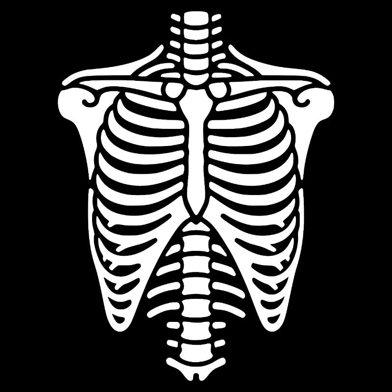 Cage thoracique, squelette, thorax et côtes, os