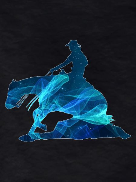 Reining star
