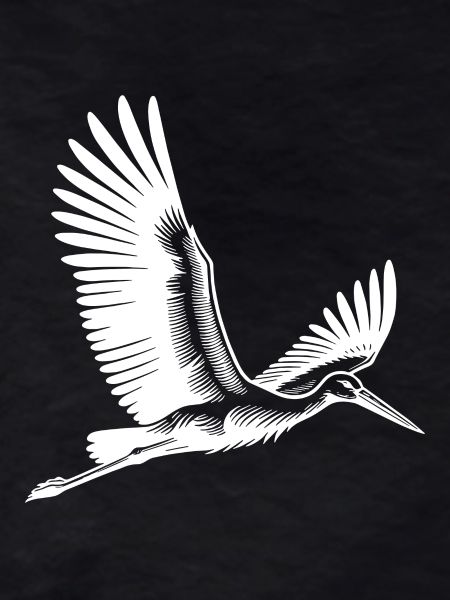 Flying Stork