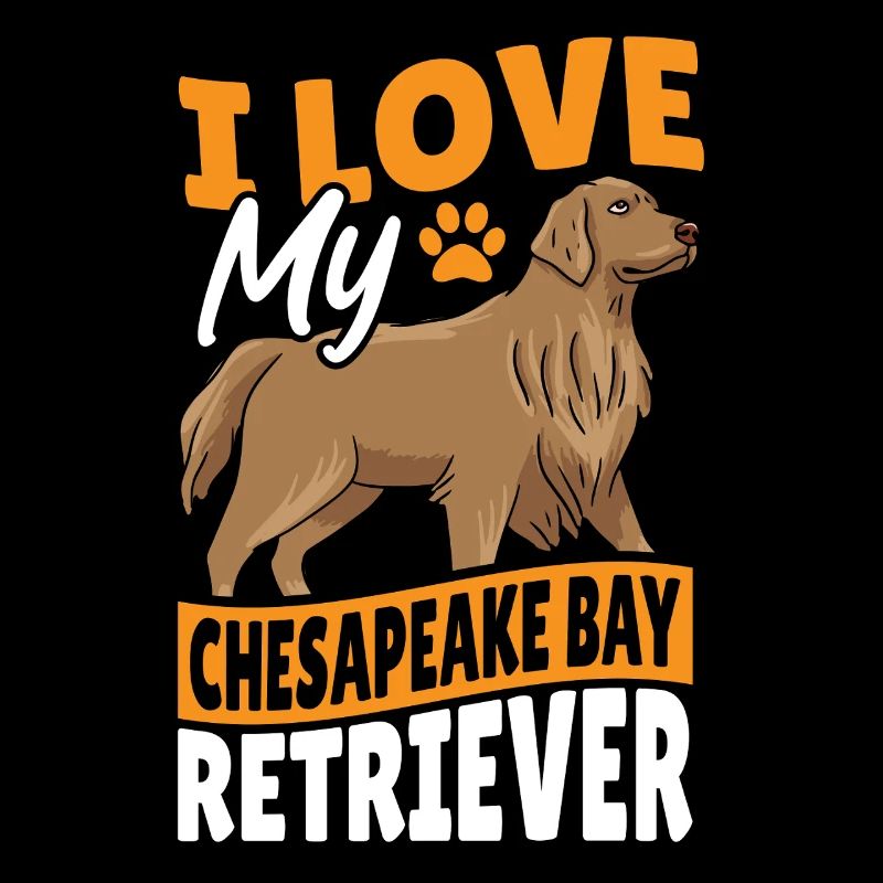 Chien Retriever Américain de la Baie de Chesapeake