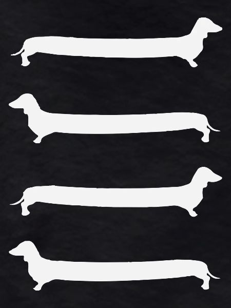 Dachshund Ladder