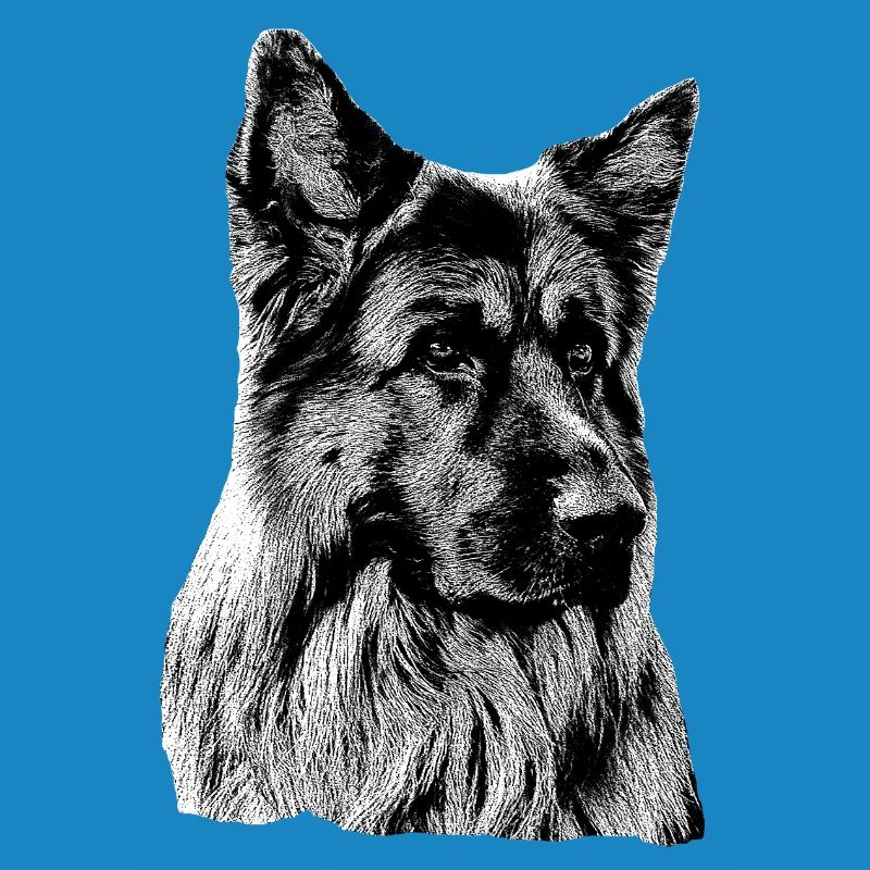 Schäferhund Deutscher Schäferhund German Shepherd