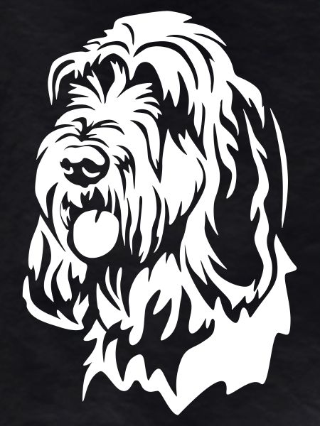 Spinone Italiano Head "Black Edition"