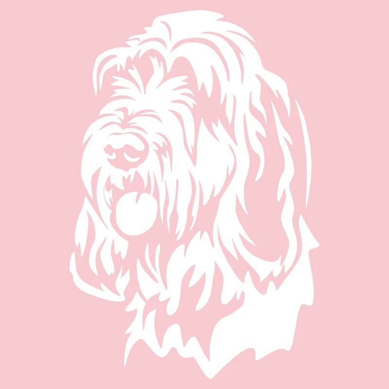 Spinone Italiano Head "Black Edition"