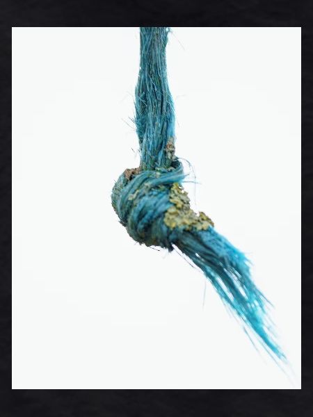 I'm a frayed knot