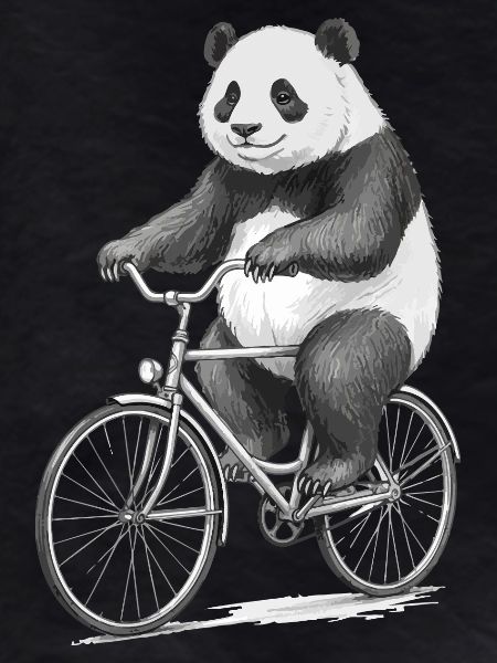 Panda on Bicycle