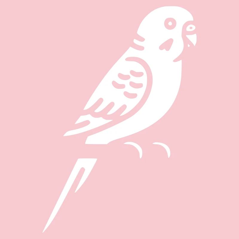 Budgie Bird Pet Vector