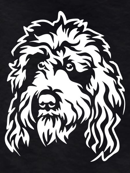 Barbet Head "Black Edition"