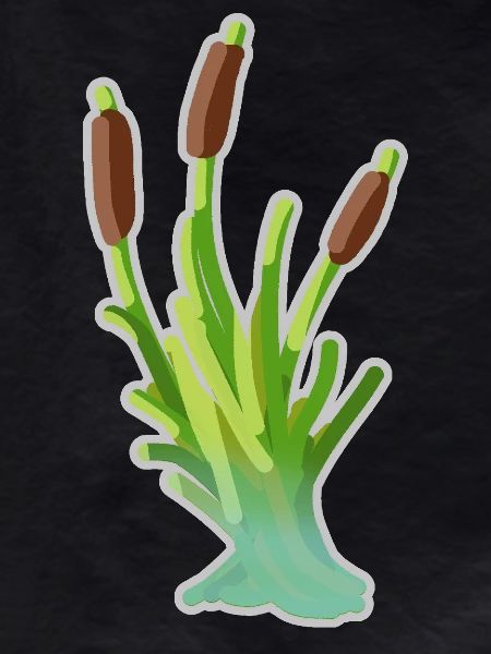 Reed