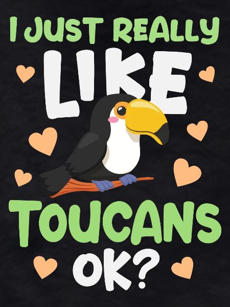 Toucan Bird Toucan