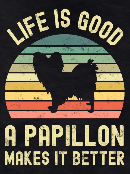 Chien Papillon